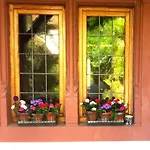 Maison Dietenbeck Wissembourg