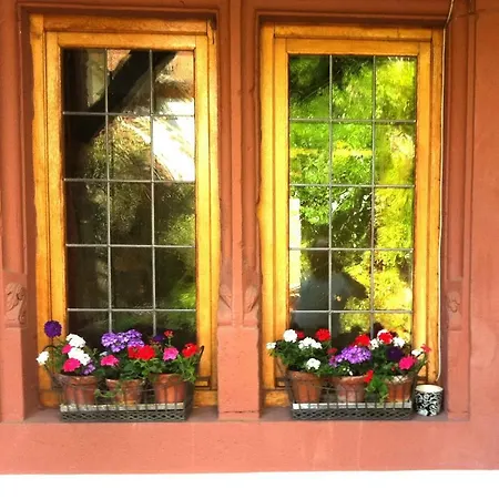 Maison Dietenbeck Wissembourg